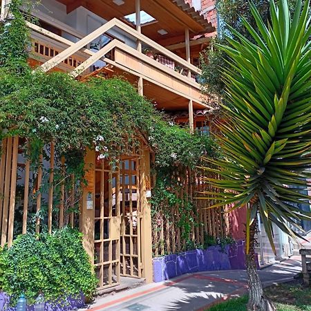Villa Betty B&B Cusco Dış mekan fotoğraf